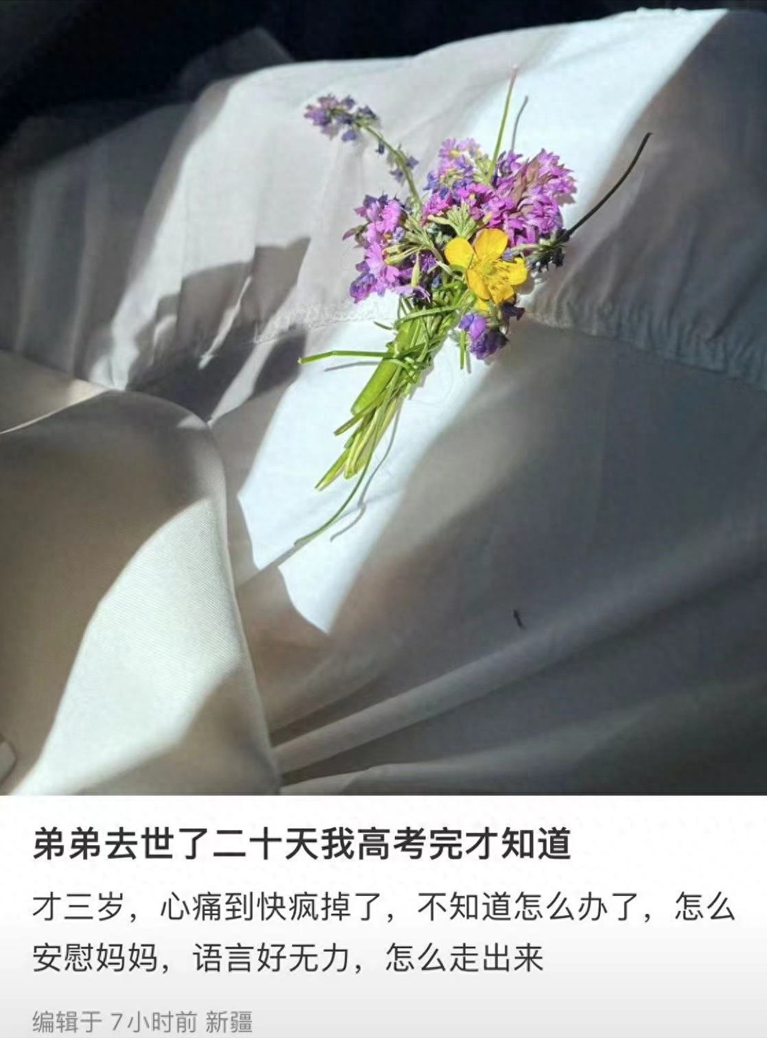 弟弟去世了二十天我高考完才知道，命运弄人，她又该怎么走出来-弟弟走了