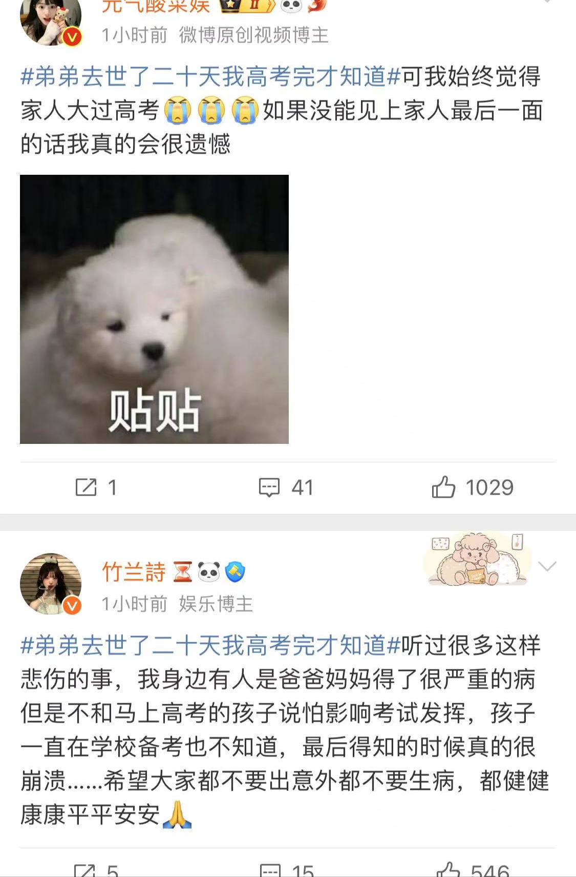 弟弟去世了二十天我高考完才知道，命运弄人，她又该怎么走出来-弟弟走了