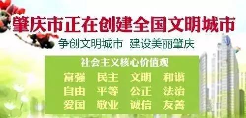 肇庆将新增大量停车位？！快来看看都建在哪里-肇庆停车收费标准