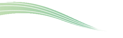 来口属于浙江的“端午味儿”，今年你pick哪一款？