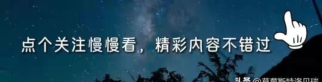 61岁张兆辉回佛山参加龙舟比赛！胸肌若隐若现，女儿撞脸圈中人-张兆辉是哪里人