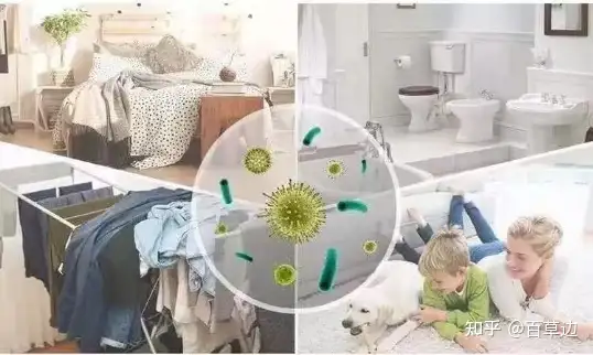 夏日出游，与自然同行-夏日出游配文