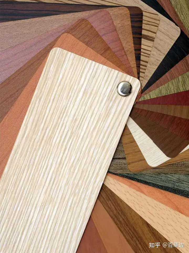 夏日出游，与自然同行-夏日出游配文