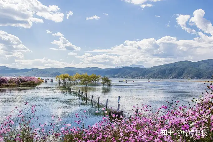 云南旅游特色景点推荐~带你玩转彩云之南-云南旅游必去的景点有哪些及简介