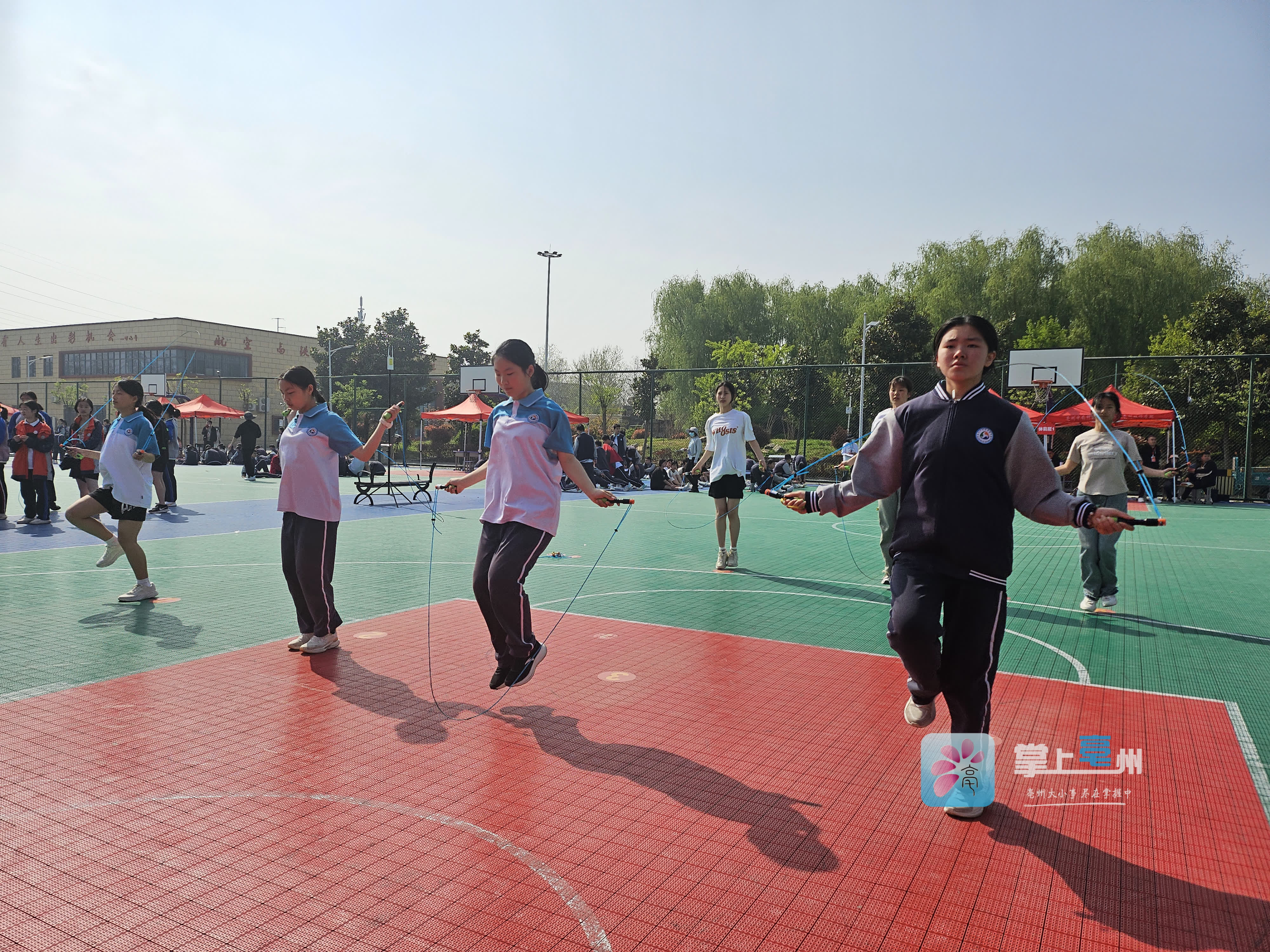 体育中考开考！哪些项目选得最多？-体育中考一般考什么