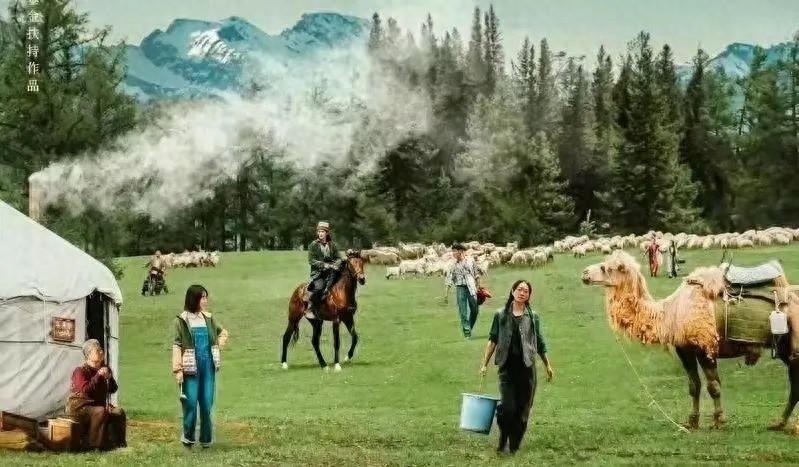 反复爱上《我的阿勒泰》的顶级美景与绝美文案（一定要收藏！）-我的阿勒泰美句