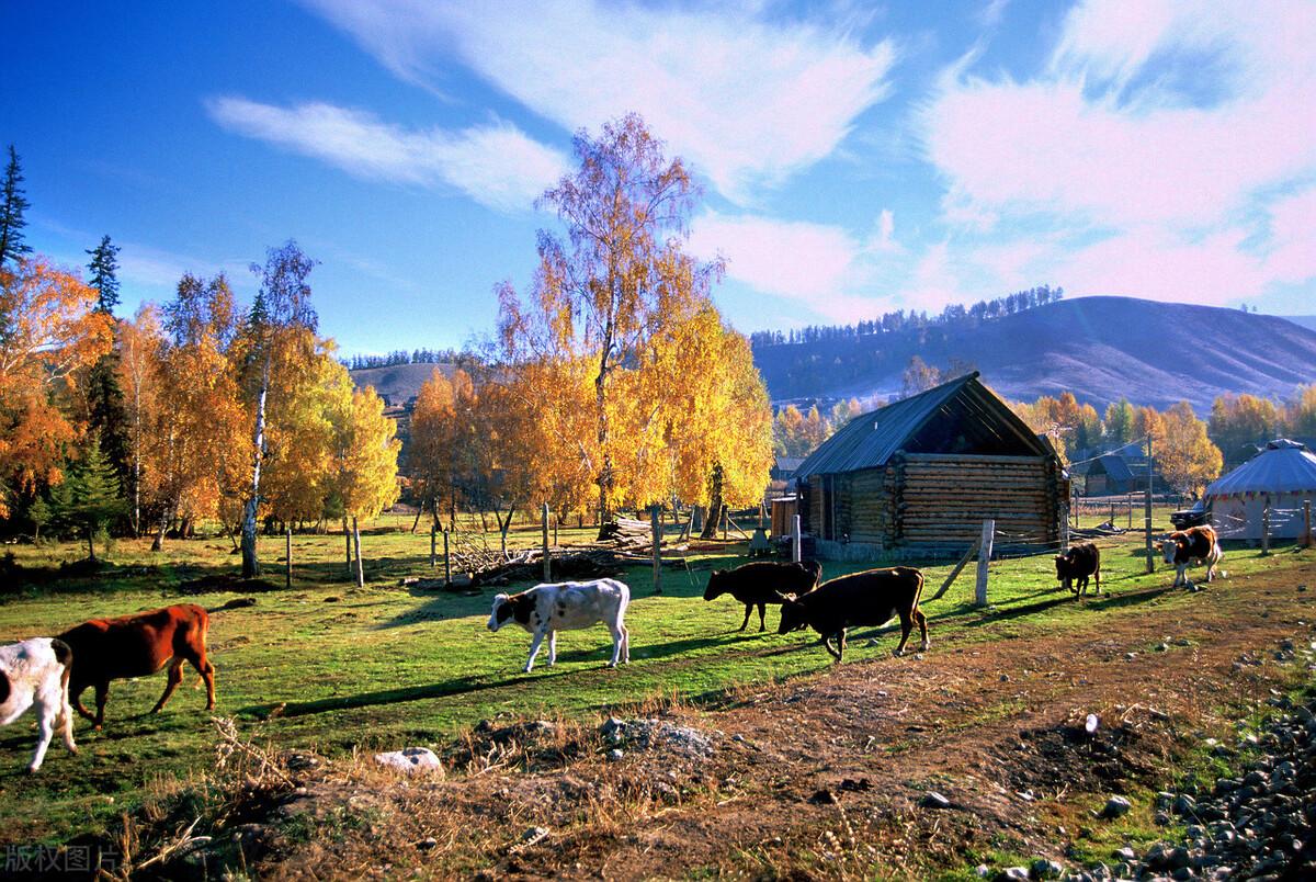 新疆印象·阿勒泰 | 每一处都是风景大片，爱上它只需一瞬间-新疆阿勒泰旅游地图