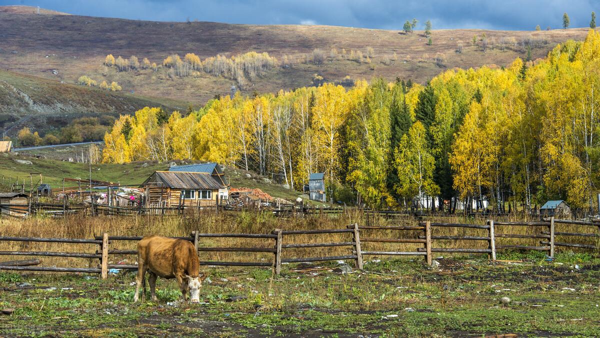 新疆印象·阿勒泰 | 每一处都是风景大片，爱上它只需一瞬间-新疆阿勒泰旅游地图