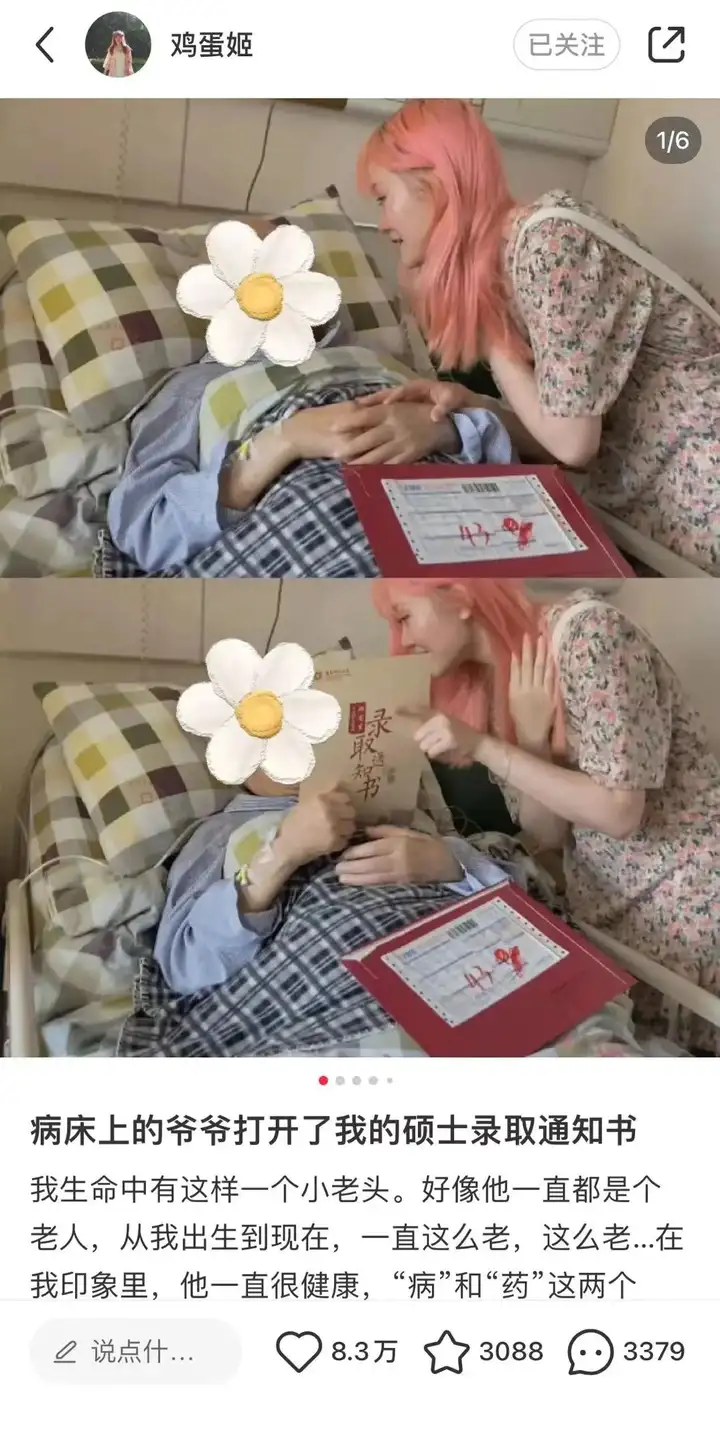 被网暴第70天：她只是染了粉色头发-被网暴如何走法律途径