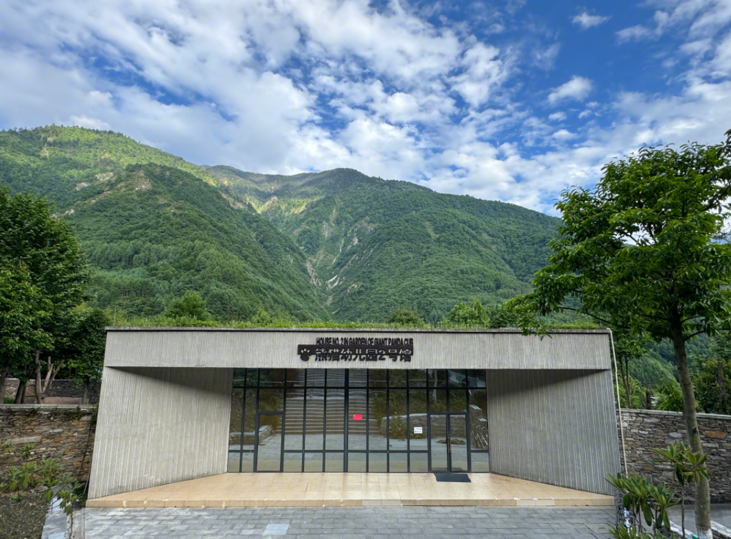 热搜第一！顶流“女星”正式营业！-官方认证顶流女明星