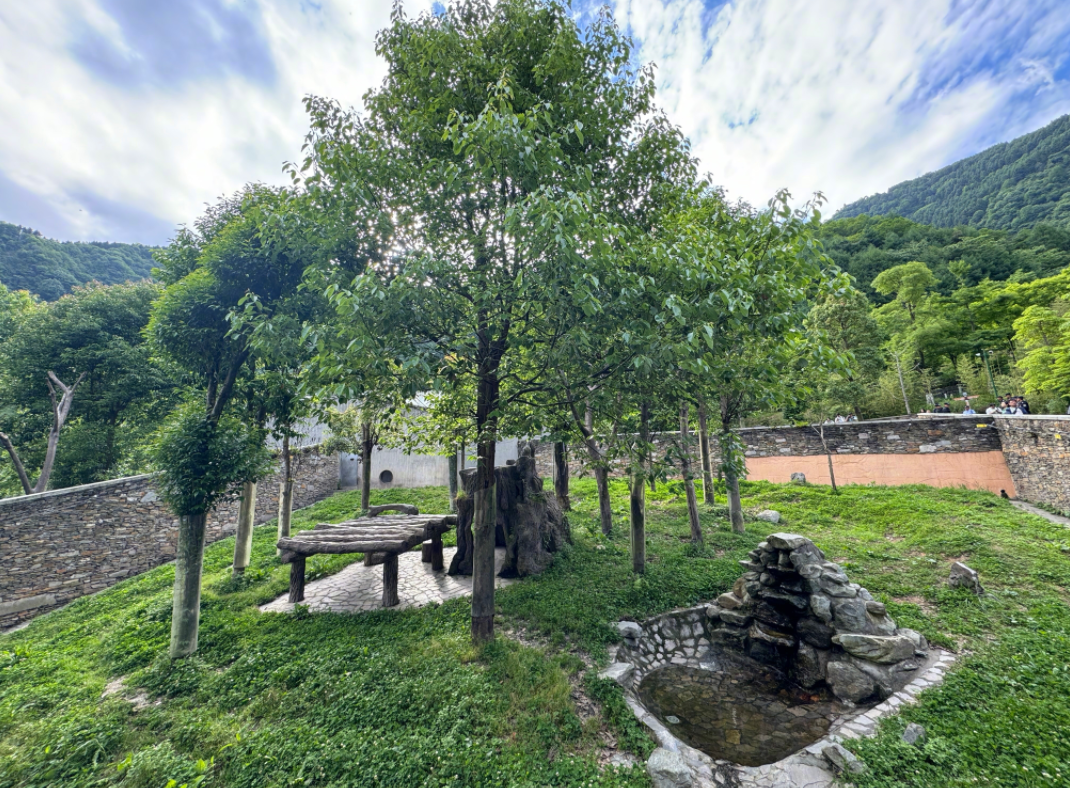 热搜第一！顶流“女星”正式营业！-官方认证顶流女明星