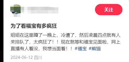 凌晨4点赶来排队！顶流“女星”今天正式营业！-女顶流排名