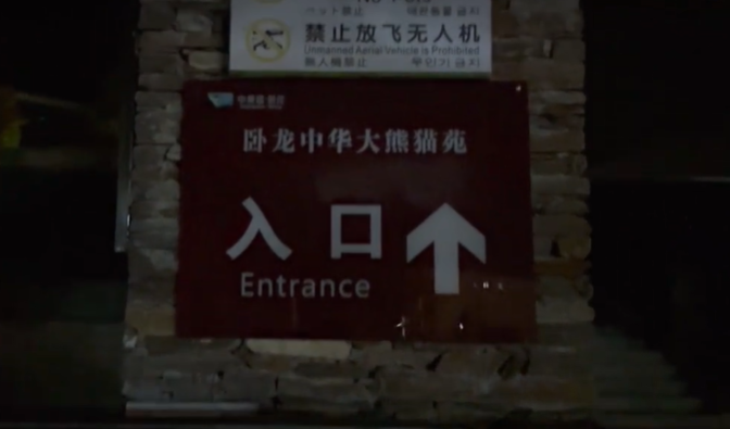 凌晨4点赶来排队！顶流“女星”今天正式营业！-女顶流排名