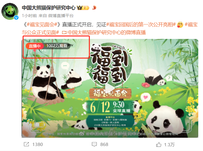 凌晨4点赶来排队！顶流“女星”今天正式营业！-女顶流排名