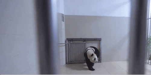 今天，“顶流女星”正式营业！-当今顶流明星