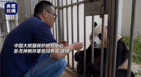 “顶流女星”福宝正式营业！-福宝的小说好看吗