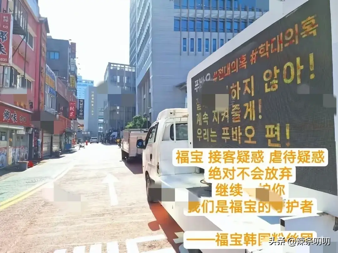 愈演愈烈！韩网友要求归还大熊猫福宝，跑到大使馆、时代广场闹事-韩国申遗大熊猫