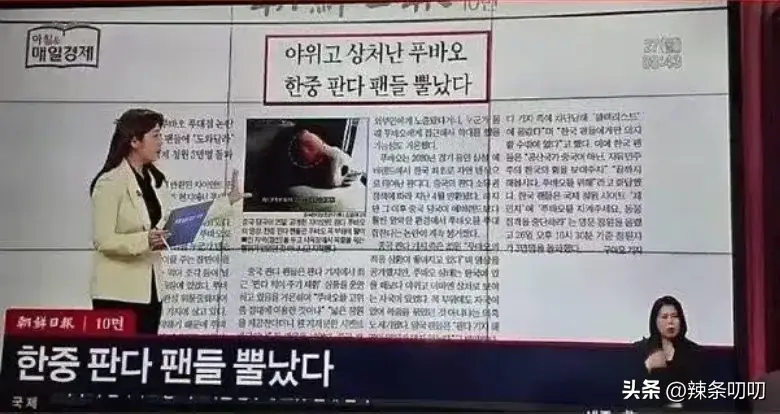 愈演愈烈！韩网友要求归还大熊猫福宝，跑到大使馆、时代广场闹事-韩国申遗大熊猫