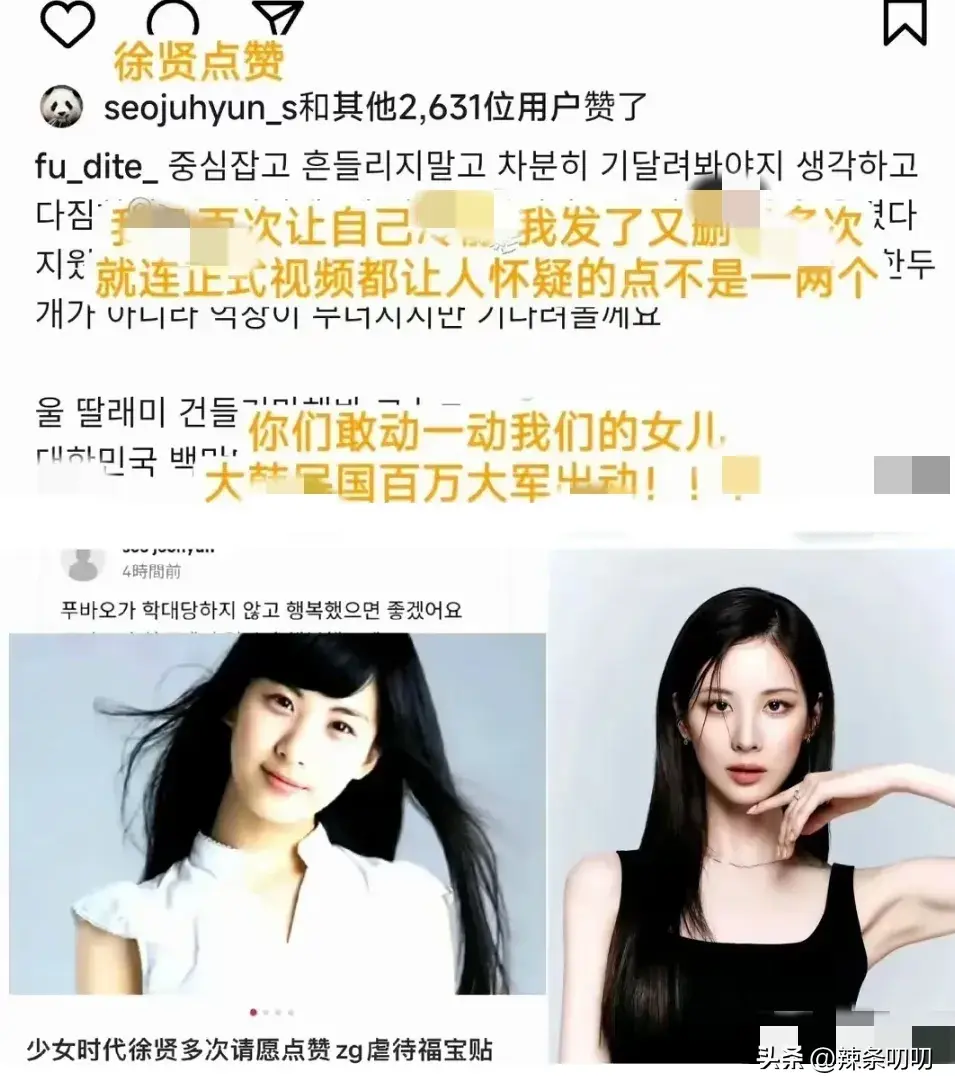 愈演愈烈！韩网友要求归还大熊猫福宝，跑到大使馆、时代广场闹事-韩国申遗大熊猫