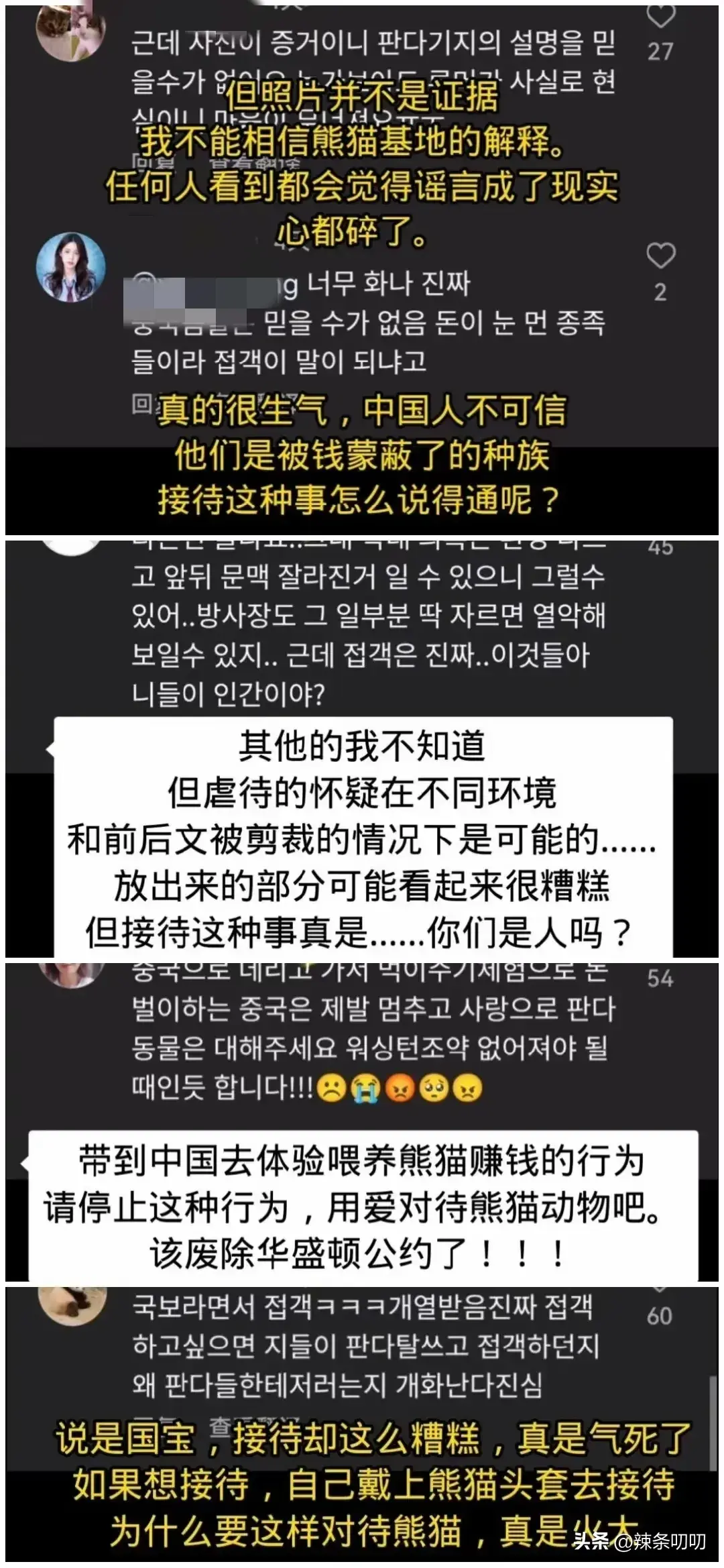 愈演愈烈！韩网友要求归还大熊猫福宝，跑到大使馆、时代广场闹事-韩国申遗大熊猫