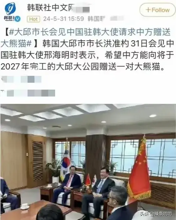 愈演愈烈！韩网友要求归还大熊猫福宝，跑到大使馆、时代广场闹事-韩国申遗大熊猫