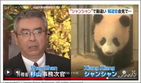 曾把华春莹逗乐的大熊猫将回国 日方为它办了场特别生日会-旅日大熊猫回国视频播放全集