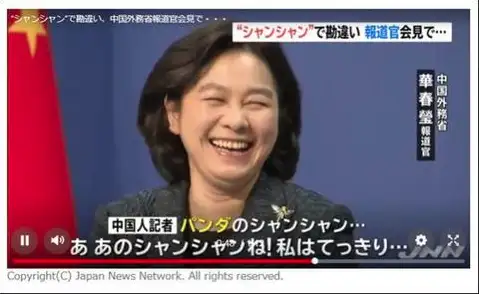 曾把华春莹逗乐的大熊猫将回国 日方为它办了场特别生日会-旅日大熊猫回国视频播放全集