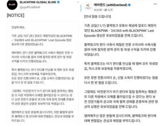 违规接触熊猫幼崽，韩国艺人方发布声明-韩国艺人看熊猫