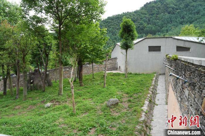 “福宝”正式与公众见面！-作家福宝简介