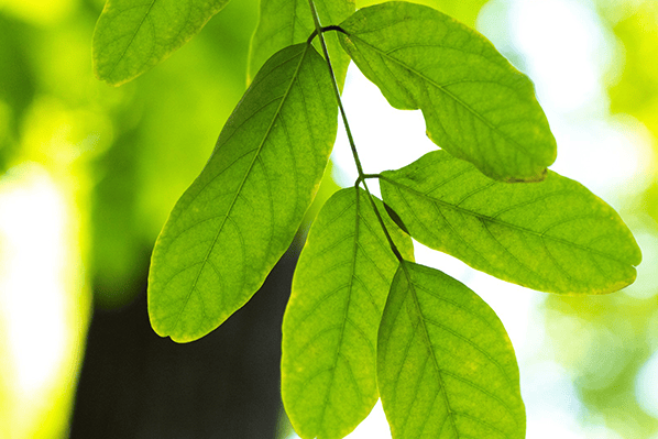 健康科普丨夏季高温如何预防中暑？这份指南请查收-高温天预防中暑