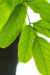 健康科普丨夏季高温如何预防中暑？这份指南请查收-高温天预防中暑