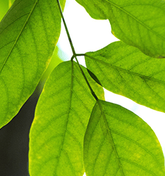 健康科普丨夏季高温如何预防中暑？这份指南请查收-高温天预防中暑