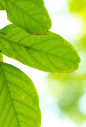 健康科普丨夏季高温如何预防中暑？这份指南请查收-高温天预防中暑