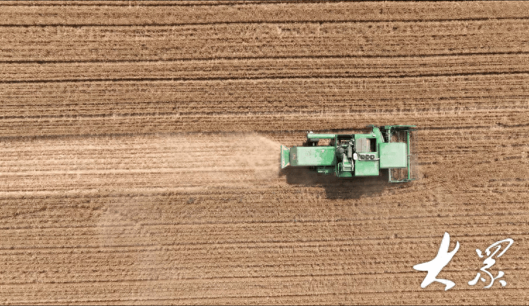 山东省小麦已收1957万亩，玉米已播1033万亩-山东省收小麦时间是几月份
