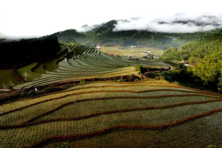 江西春游踏青好去处 崇义上堡梯田旅游攻略 低音号免费语音导游-崇义上堡梯田民宿有哪些