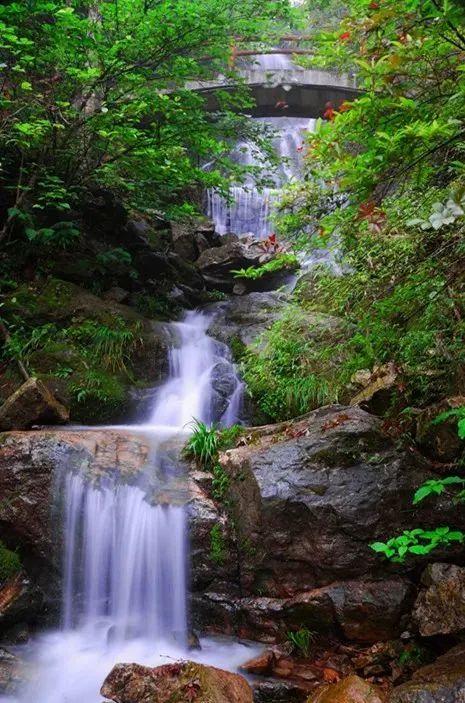 清凉一夏游崇义，主题线路你来选！-崇义县旅游