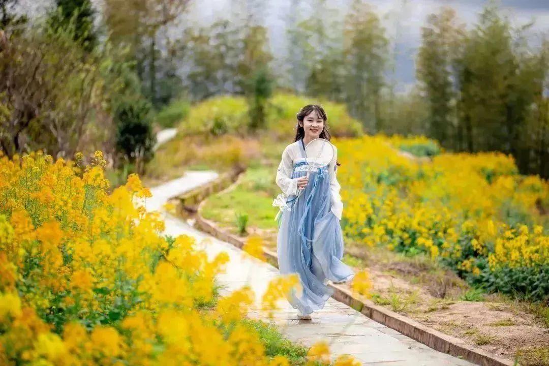 清凉一夏游崇义，主题线路你来选！-崇义县旅游