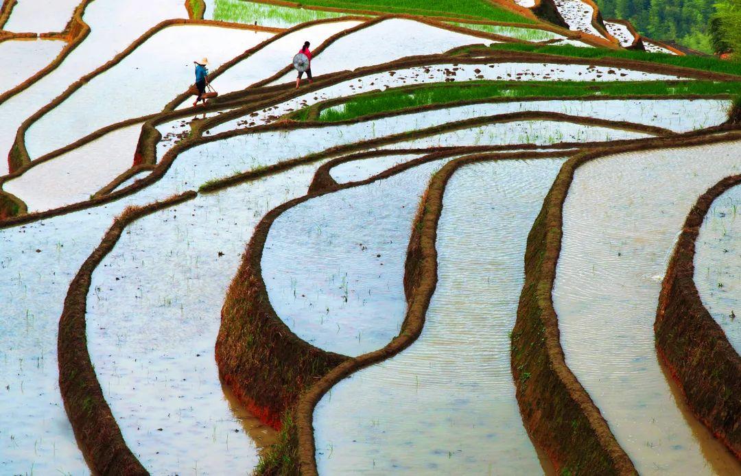 清凉一夏游崇义，主题线路你来选！-崇义县旅游