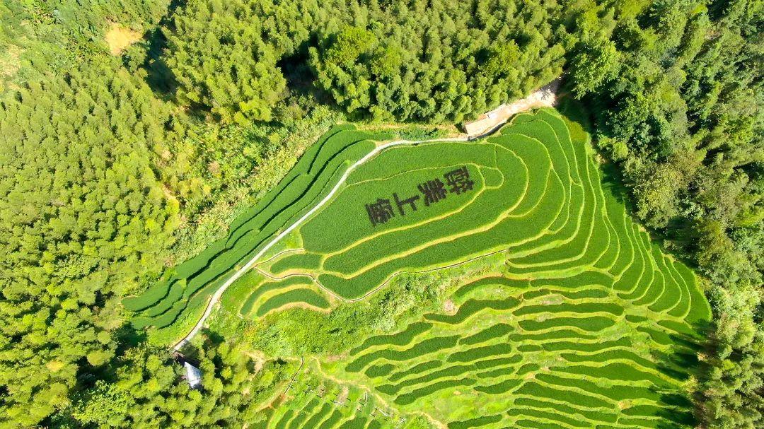 清凉一夏游崇义，主题线路你来选！-崇义县旅游