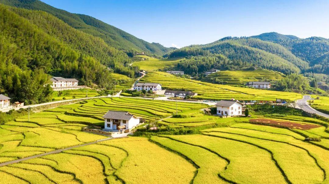 清凉一夏游崇义，主题线路你来选！-崇义县旅游