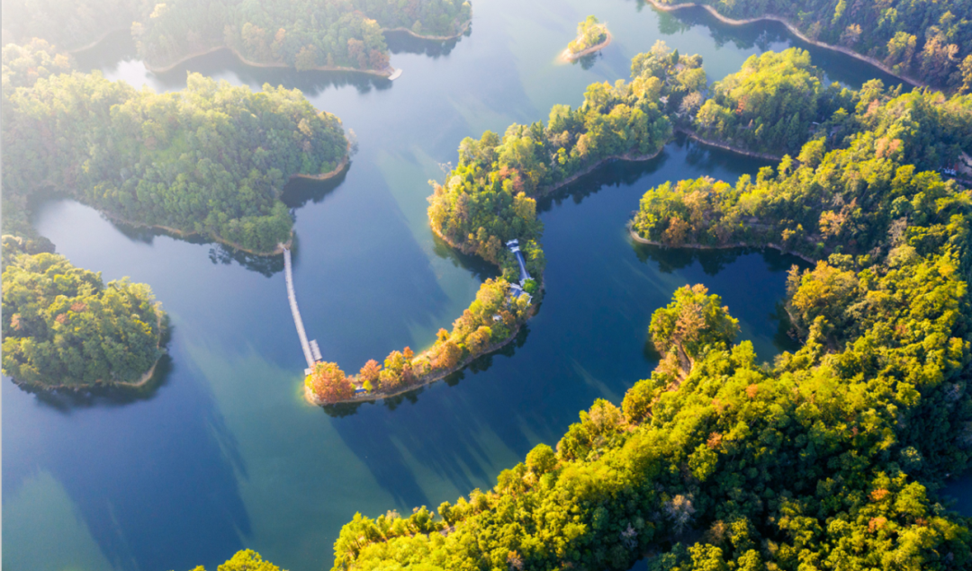 清凉一夏游崇义，主题线路你来选！-崇义县旅游