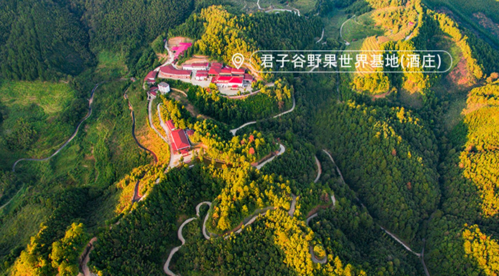 清凉一夏游崇义，主题线路你来选！-崇义县旅游