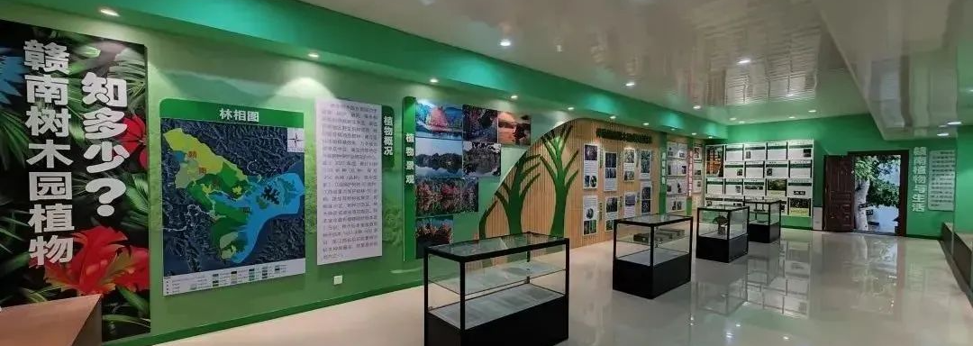 清凉一夏游崇义，主题线路你来选！-崇义县旅游