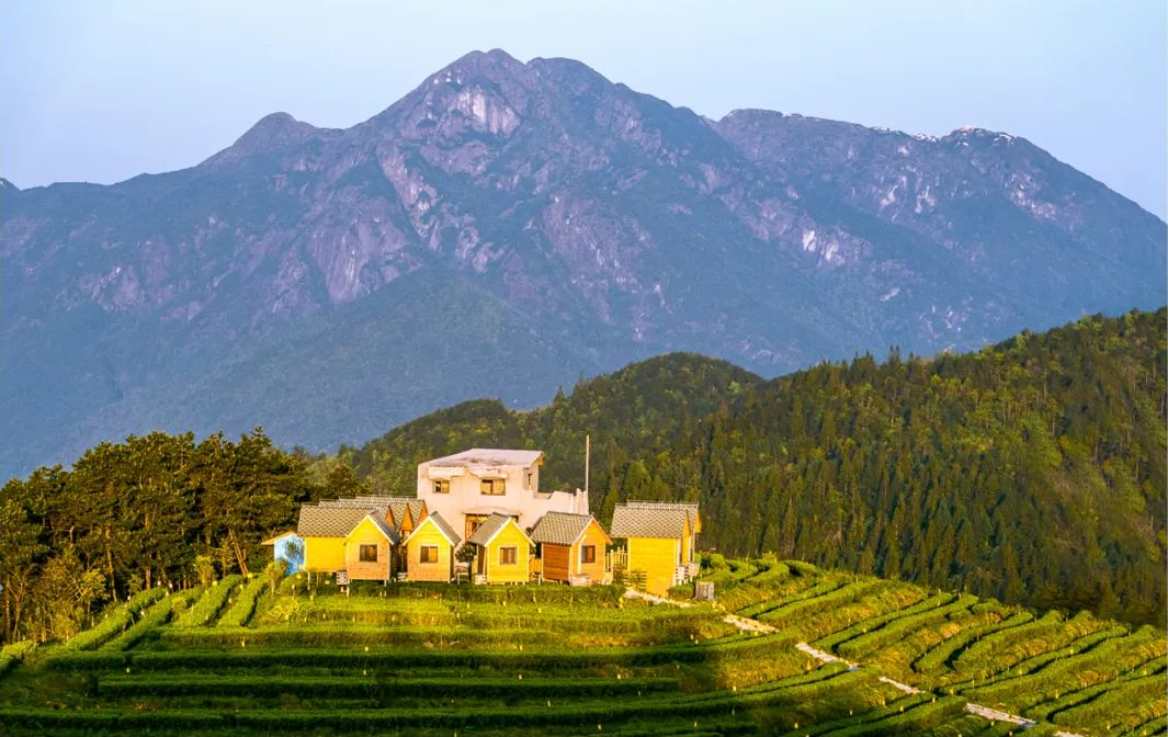 清凉一夏游崇义，主题线路你来选！-崇义县旅游