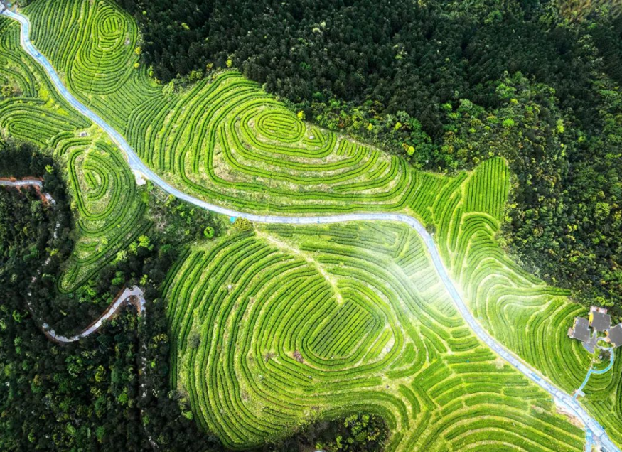 清凉一夏游崇义，主题线路你来选！-崇义县旅游