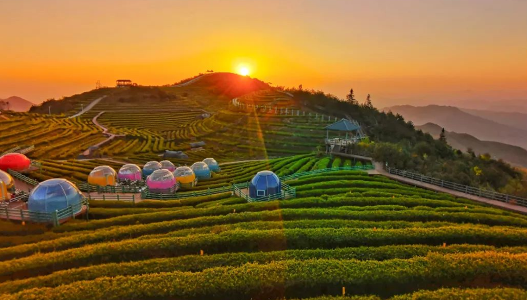 清凉一夏游崇义，主题线路你来选！-崇义县旅游