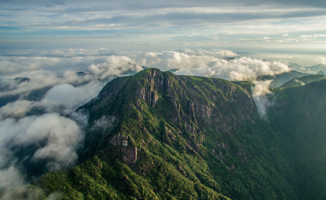 清凉一夏游崇义，主题线路你来选！-崇义县旅游