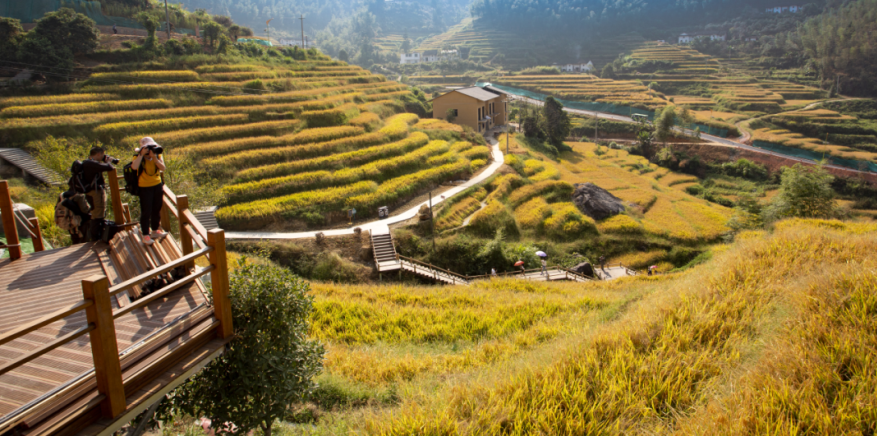 清凉一夏游崇义，主题线路你来选！-崇义县旅游