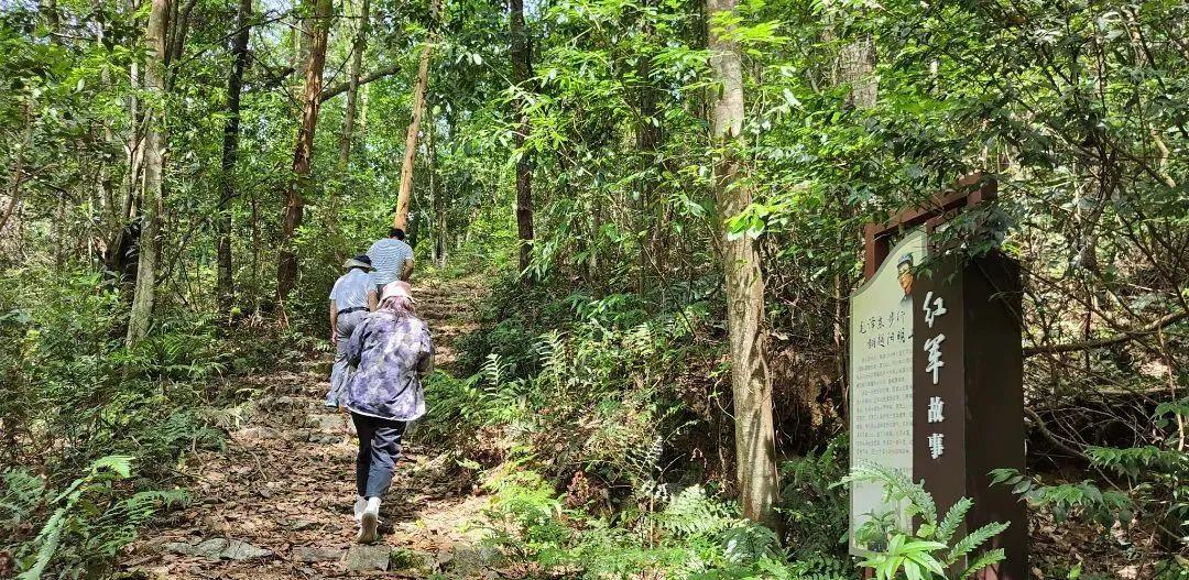 清凉一夏游崇义，主题线路你来选！-崇义县旅游