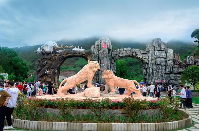 泰顺攻略，去十次都不会腻的小众旅游地-泰顺旅游景点大全排名